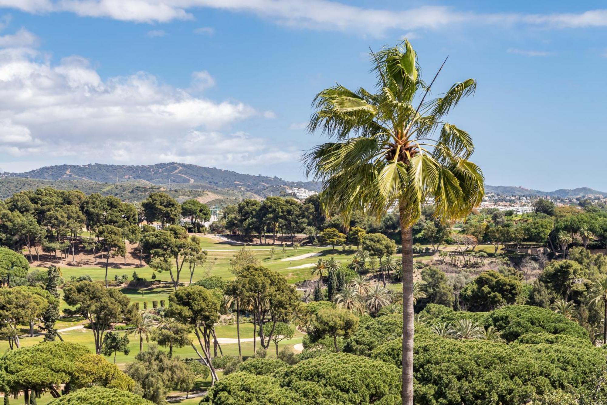 Aurora Boutique House - Only Adults Bed & Breakfast Marbella Bagian luar foto